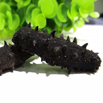 加拿大干海参进口报关代理流程案例分享