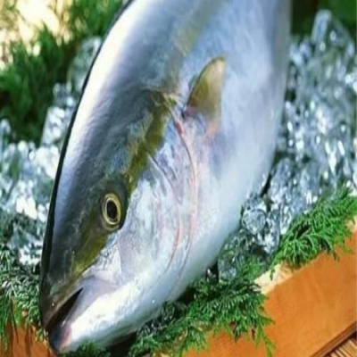 金枪鱼进口报关案例分享